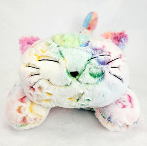 Rainbow Paws Kitty Stuffie