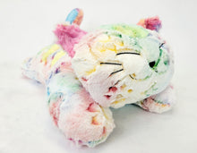 Load image into Gallery viewer, Rainbow Paws Kitty Stuffie