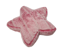 Load image into Gallery viewer, Bright Rose Frosted Koala Star Pillow