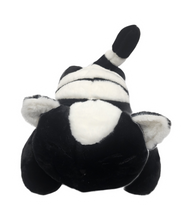 Load image into Gallery viewer, Black Encore Kitty Stuffie