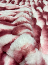 Load image into Gallery viewer, Double Berry Snow Chinchilla Sharpei