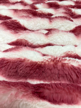 Load image into Gallery viewer, Double Berry Snow Chinchilla Sharpei